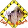 Dog on Board matrica angol bulldog fényképes 20x20cm