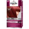 Palette Salon Color Intenzív Vörös 6-88