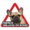 Francia bulldog on board matrica