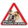 Angol bulldog on board matrica