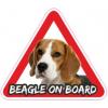 Beagle on board matrica