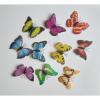 3D Színes mágneses pillangó csomag - pillangó dobozban