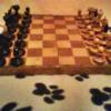 Eladó hiánytalan sakk készlet!